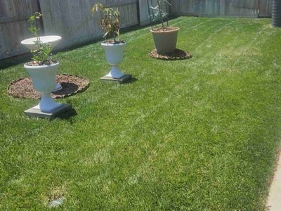 Lawn Care service in South Lake Tahoe, 96150