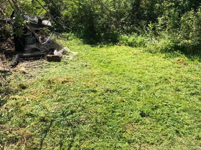 Lawn Care service in South Lake Tahoe, 96150