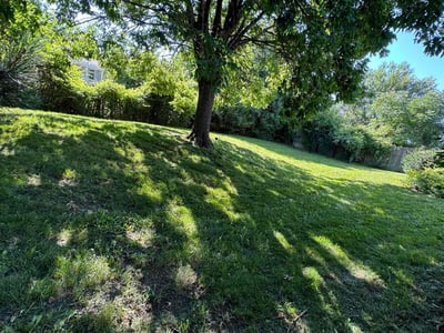 Lawn Care service in Lincoln, 02865