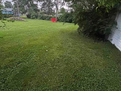 Lawn Care service in Centreville, 20120