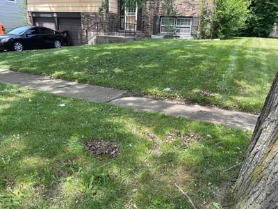Lawn Care service in Westbrook, 04092