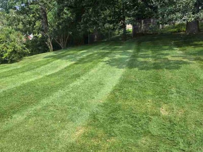 Lawn Care service in Valencia, 16059