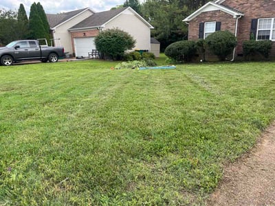 Lawn Care service in Spring Hill, 37174