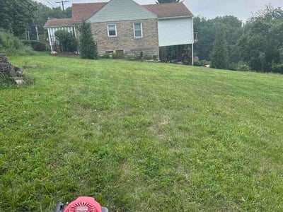Lawn Care service in Valencia, 16059