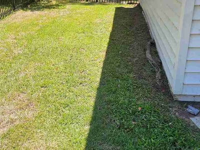 Lawn Care service in Leland, 28451