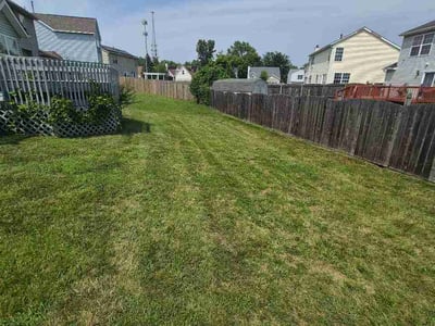 Lawn Care service in Valencia, 16059