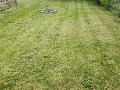 Lawn Care service in Valencia, 16059