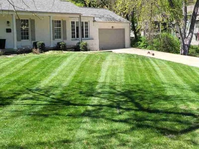 Lawn Care service in Paola, 66071