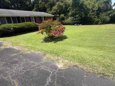 Lawn Care service in Supply, 28462