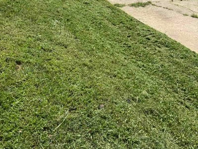 Lawn Care service in Paola, 66071