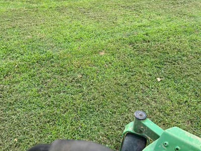 Lawn Care service in Supply, 28462