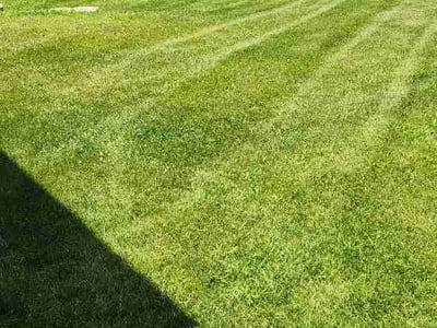 Lawn Care service in Paola, 66071