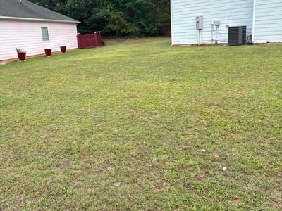 Lawn Care service in Supply, 28462