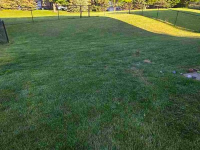 Lawn Care service in Farmington, 55024