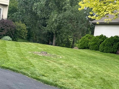 Lawn Care service in Farmington, 55024