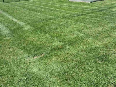 Lawn Care service in Farmington, 55024
