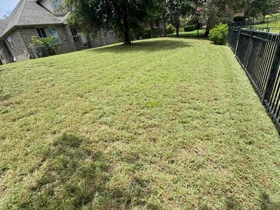 Lawn Care service in Edinburg, 78539