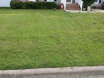 Lawn Care service in Wendell, 27591
