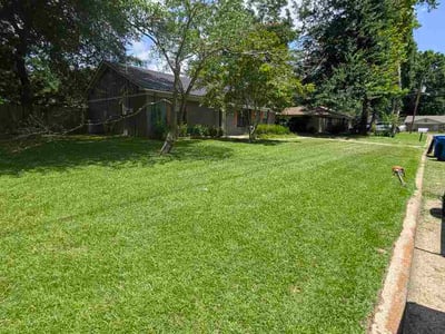 Lawn Care service in Edinburg, 78539