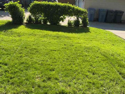 Lawn Care service in Farmington, 55024