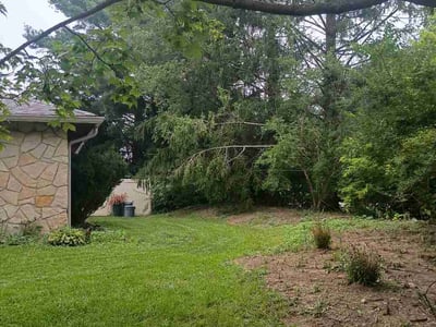 Lawn Care service in Murrysville, 15668