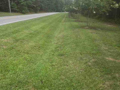 Lawn Care service in Wendell, 27591