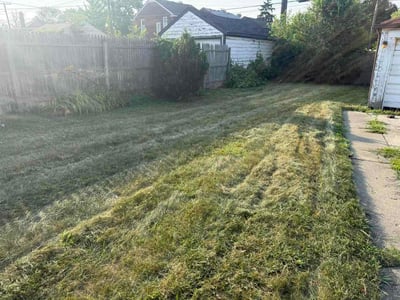 Lawn Care service in Jenison, 49428