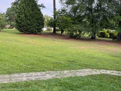 Lawn Care service in Camden, 29020