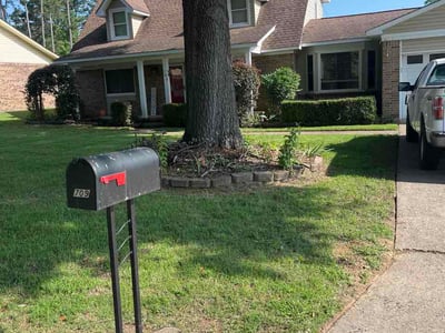 Lawn Care service in Jacksonville, 72076