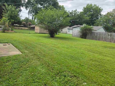 Lawn Care service in Jacksonville, 72076