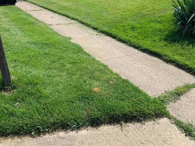 Lawn Care service in Trenton, 08608