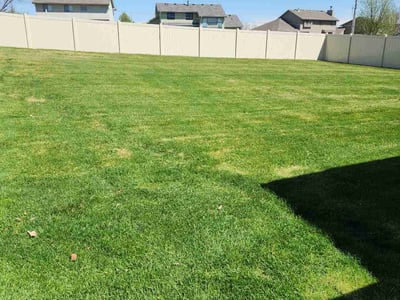 Lawn Care service in Bellevue, 68005