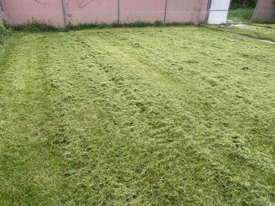 Lawn Care service in Merrillville, 46410