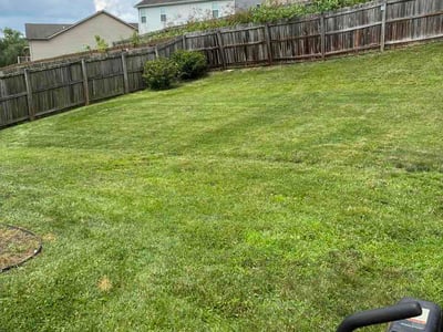 Lawn Care service in Winchester, 40391
