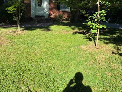 Lawn Care service in Winchester, 40391