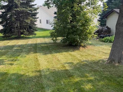 Lawn Care service in Savage, 55378
