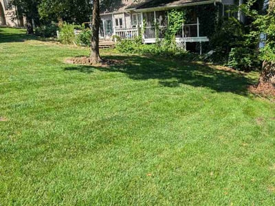Lawn Care service in Excelsior Springs, 64024