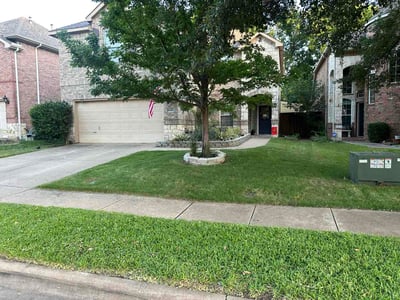 Lawn Care service in Greenville, 75401