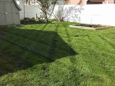 Lawn Care service in Lowell, 46356