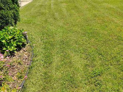 Lawn Care service in Lowell, 46356