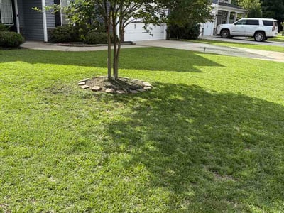 Lawn Care service in Ocean Isle Beach, 28469