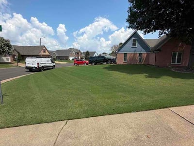 Lawn Care service in Southaven, 38671