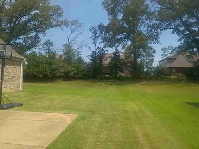 Lawn Care service in Southaven, 38671