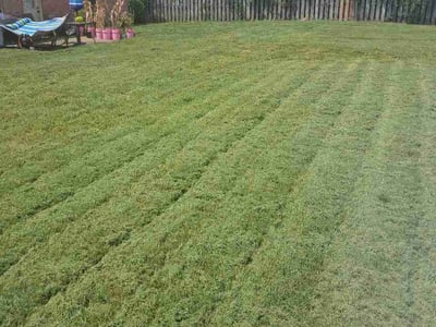Lawn Care service in Southaven, 38671