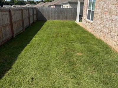 Lawn Care service in Southaven, 38671