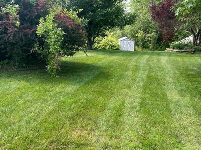 Lawn Care service in Oswego, 13126