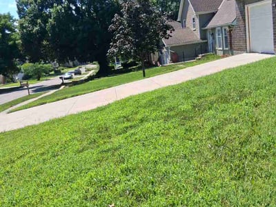 Lawn Care service in Gardner, 66030
