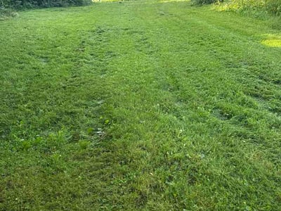 Lawn Care service in Oswego, 13126