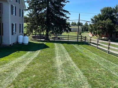 Lawn Care service in Denver, 17517