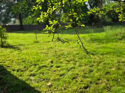 Lawn Care service in Corydon, 47112
